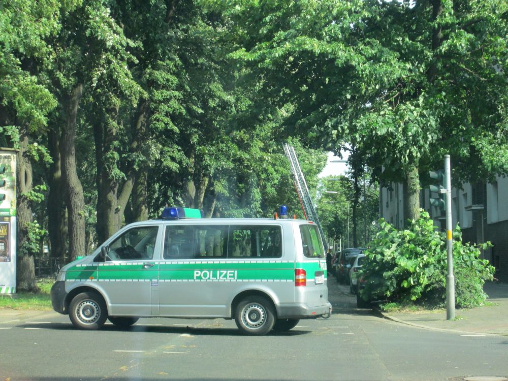 Die Feuerwehr muss Bäume sichern, daher war die Heinrichstraße mitten im Berufsverkehr gesperrt.